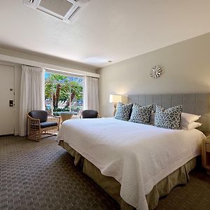 Modern King Room